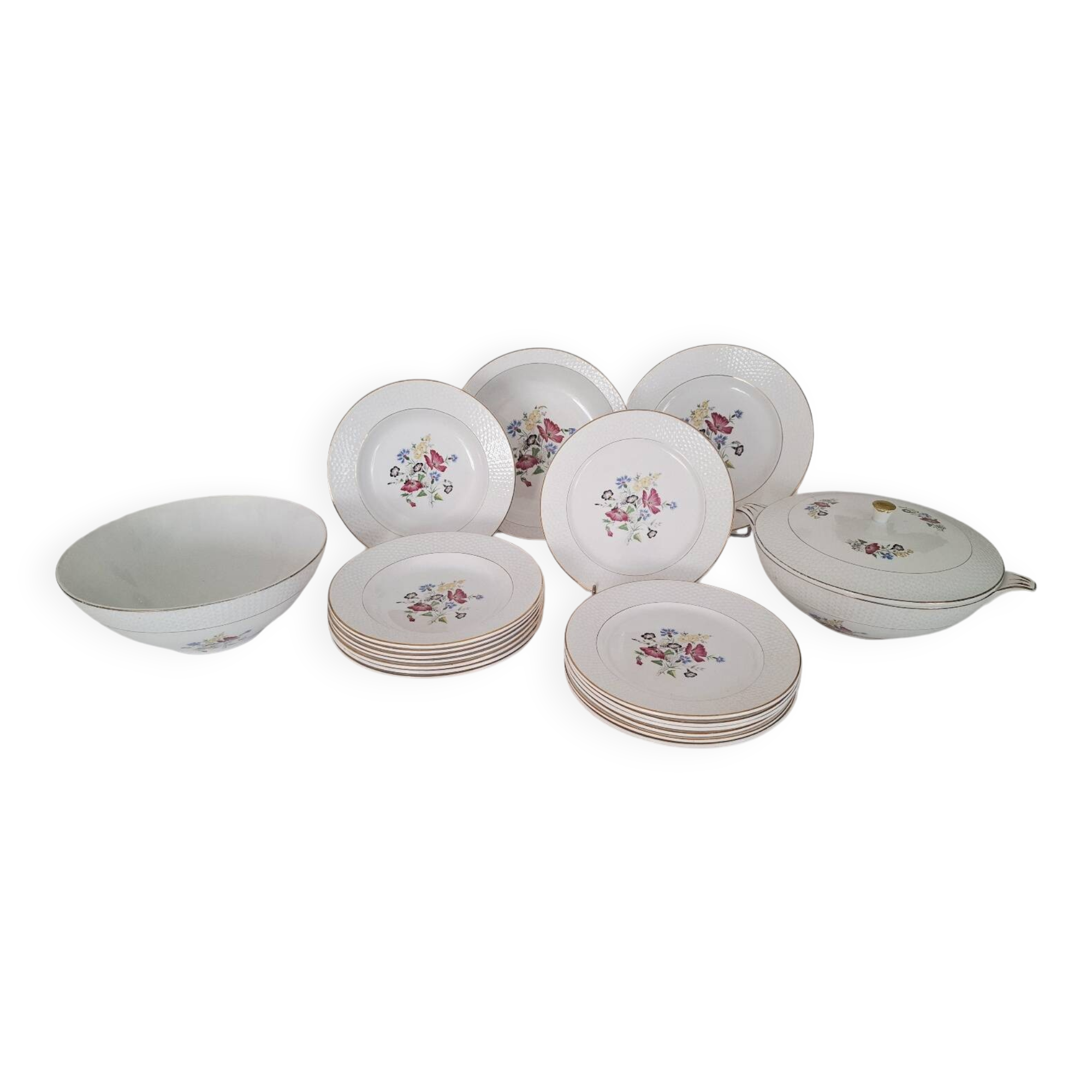 Antique Opaque Porcelain Dinner Service Digoin and Sarregue