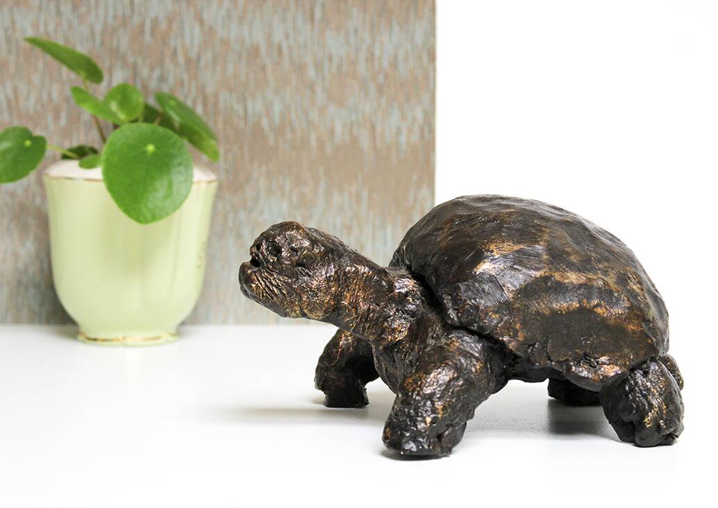 Turtle signed Closon