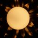 Golden Sun Flower Wall Ceiling Light