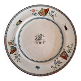 Assiette minton & co anglais "butterly" - papillons et insectes