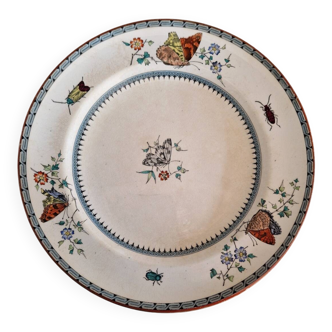 Minton & co english plate "butterly" - butterflies and insects