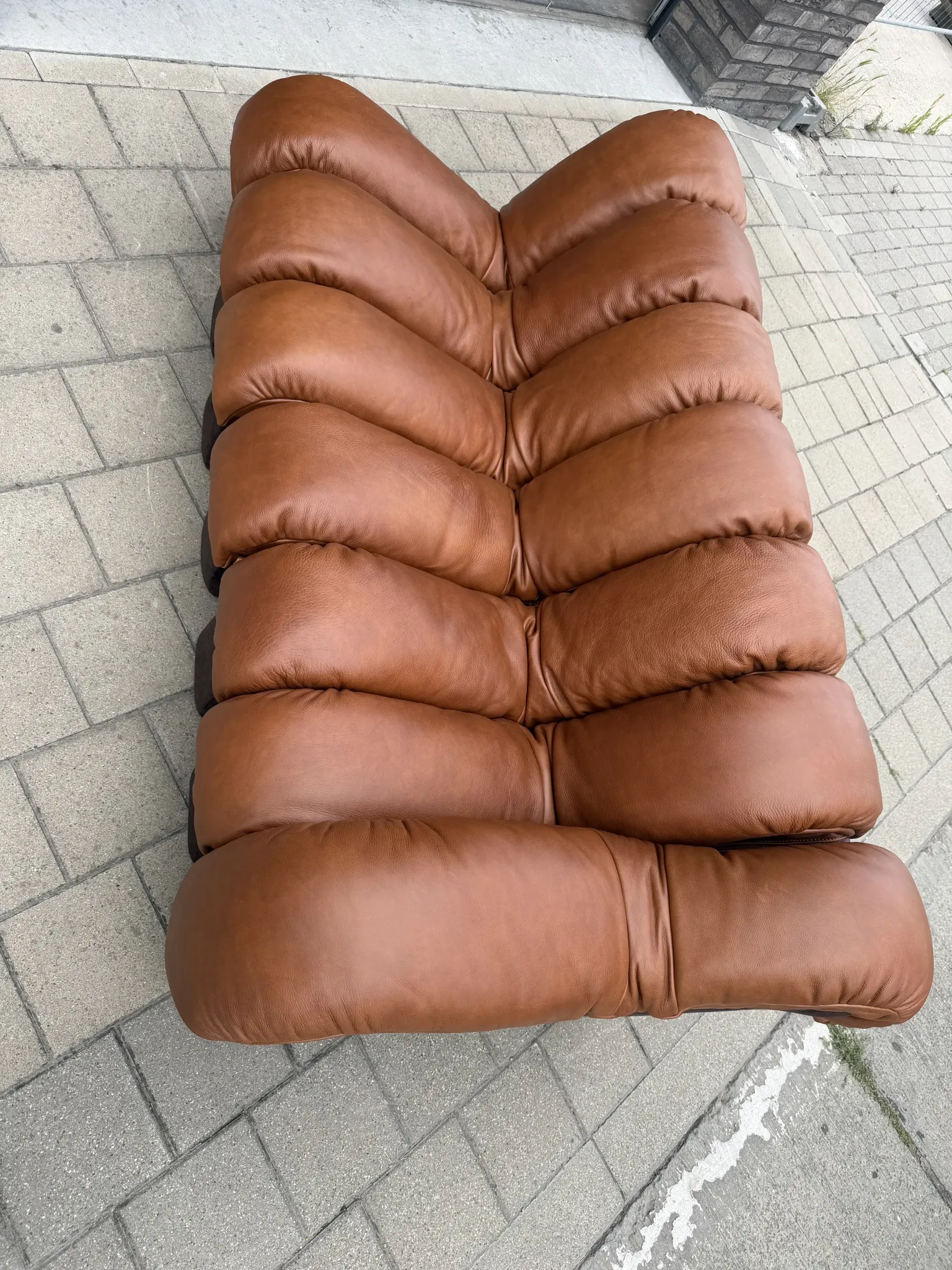 De Sede Ds600 Snake in cognac leather, 20 elements (in NEW CONDITION)!
