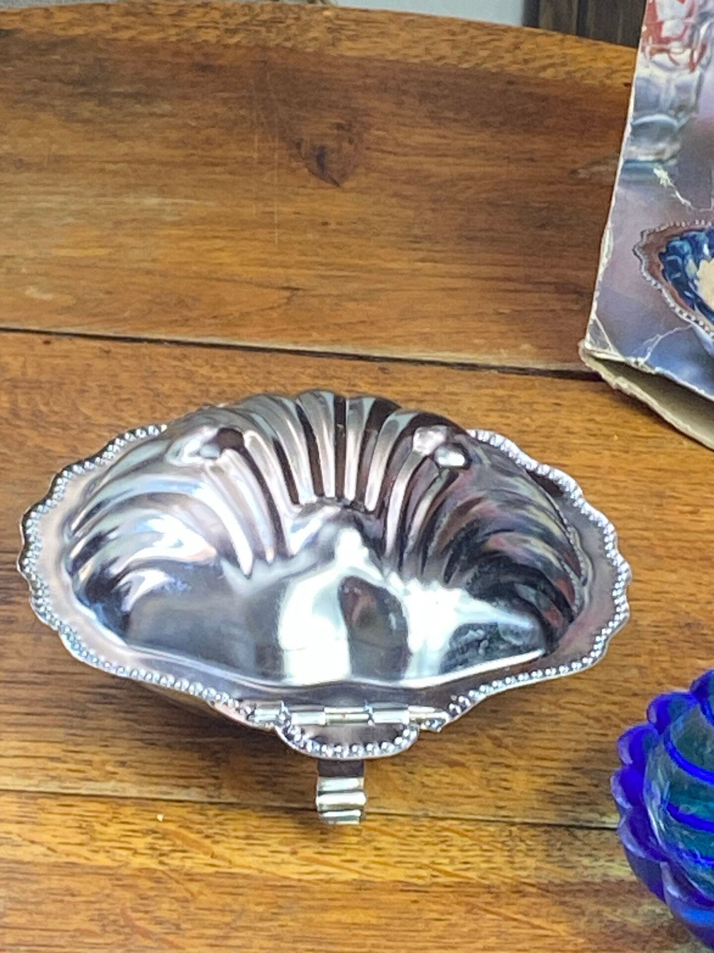 Shell-shaped butter dish in stainless steel and blue glass