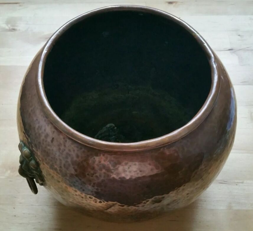 Copper lions head hide-and-seek