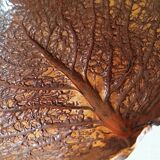Stoneware leaf emptier