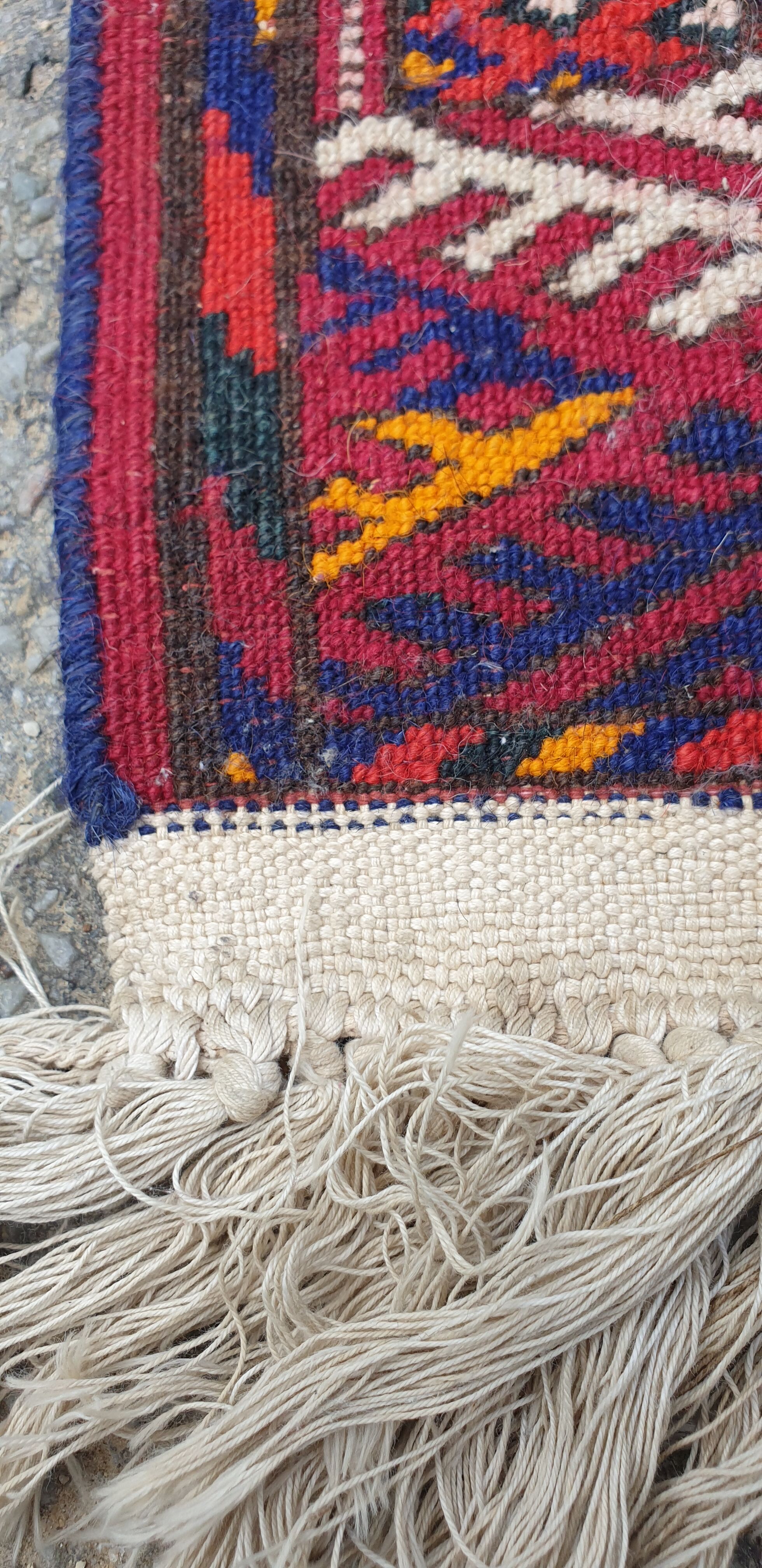 Oriental carpet wool