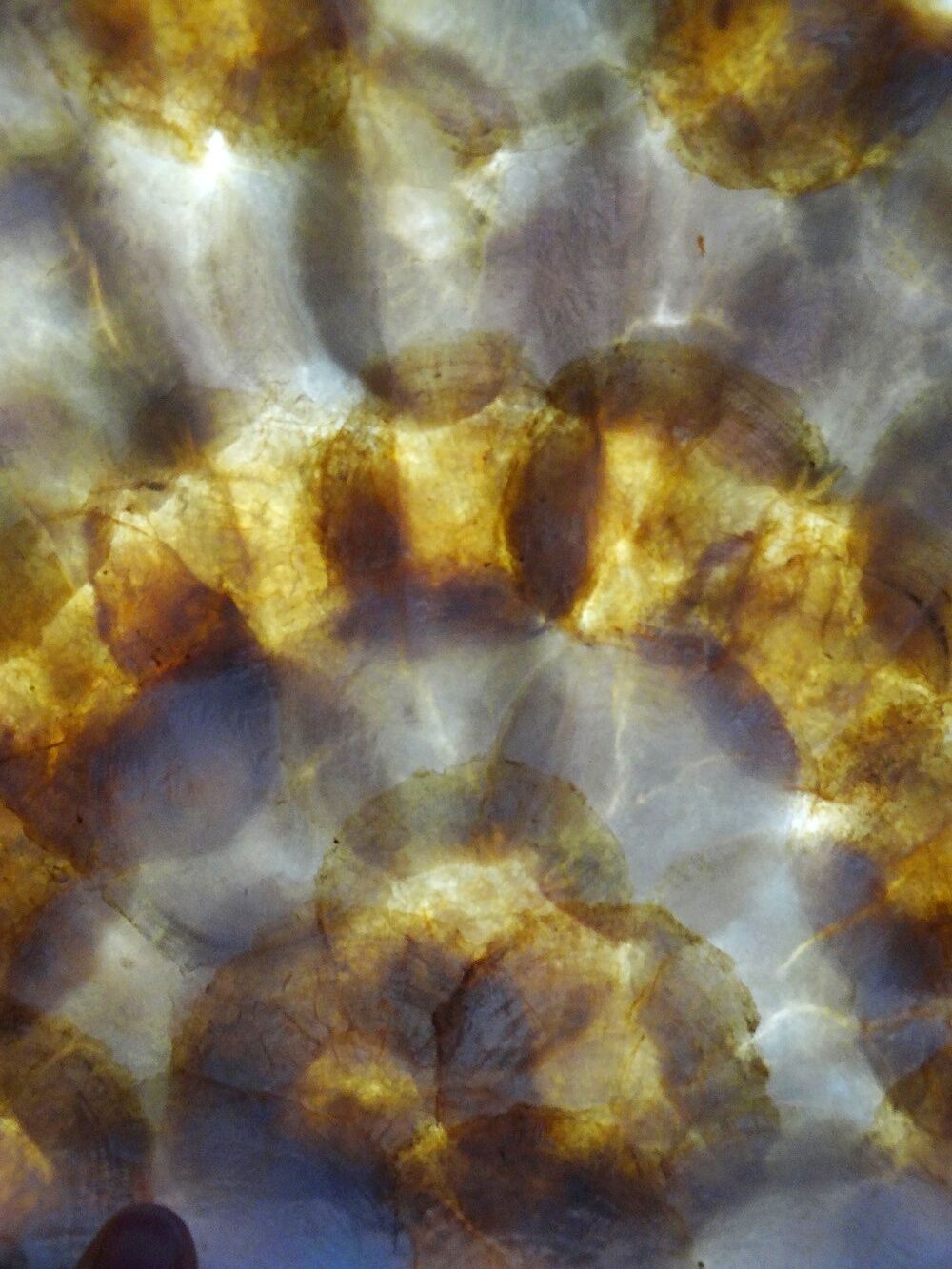 Large platter or shell-shaped catchall in capiz mother-of-pearl and vintage brass.