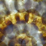 Large platter or shell-shaped catchall in capiz mother-of-pearl and vintage brass.