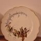 2 plates autumnal motifs