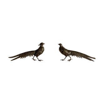 Couple of pheasants