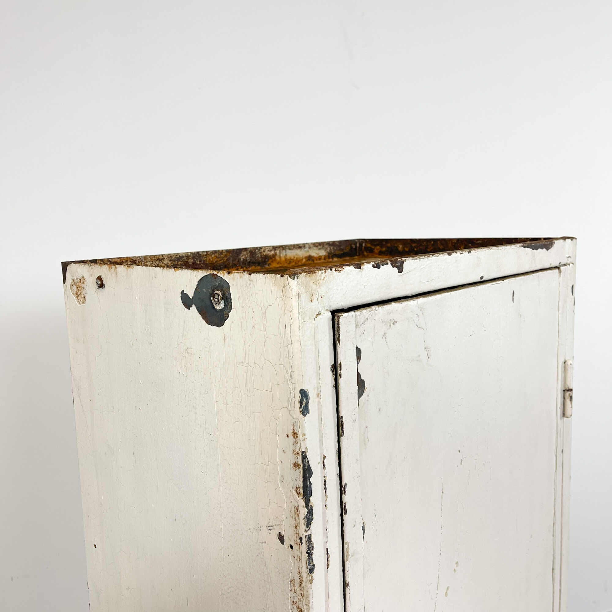 Industrial metal workshop cabinet