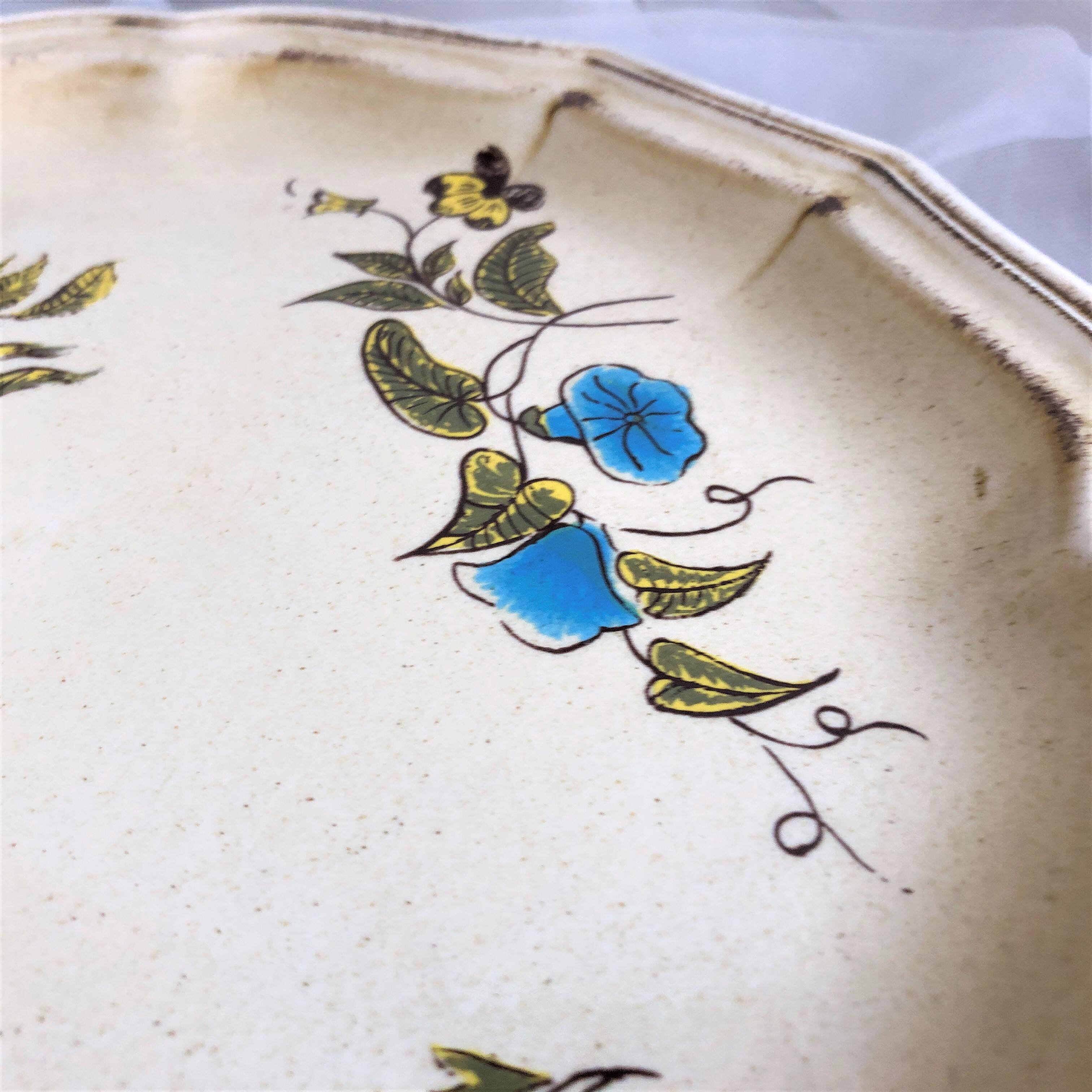 Decorative plate from Salins France decor Montpellier 25.5 cm