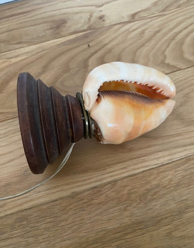 Shell lamp