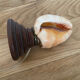 Shell lamp