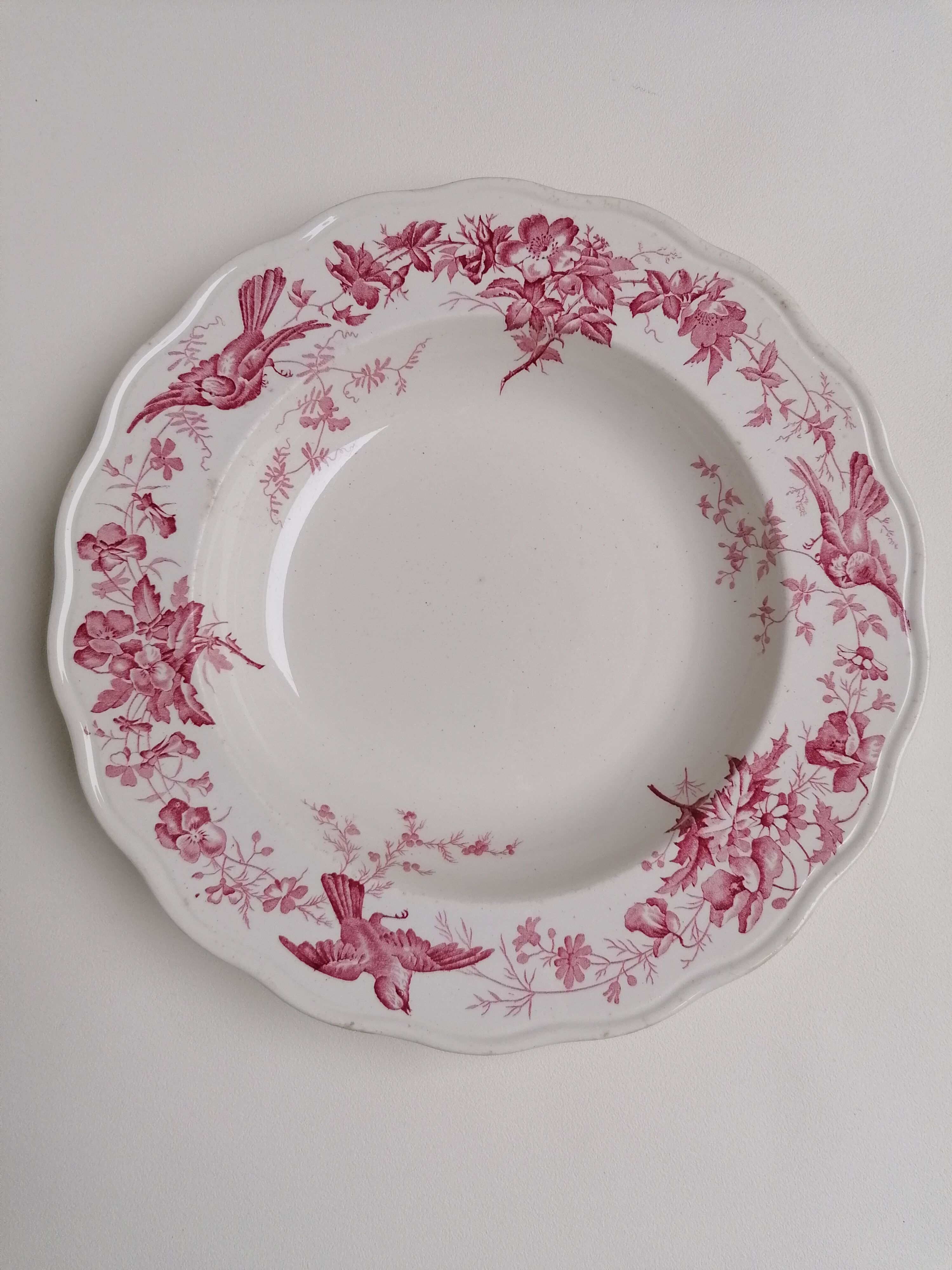 6 hollow plates English earthenware Cauldon England from the great depot E. Bourgeois