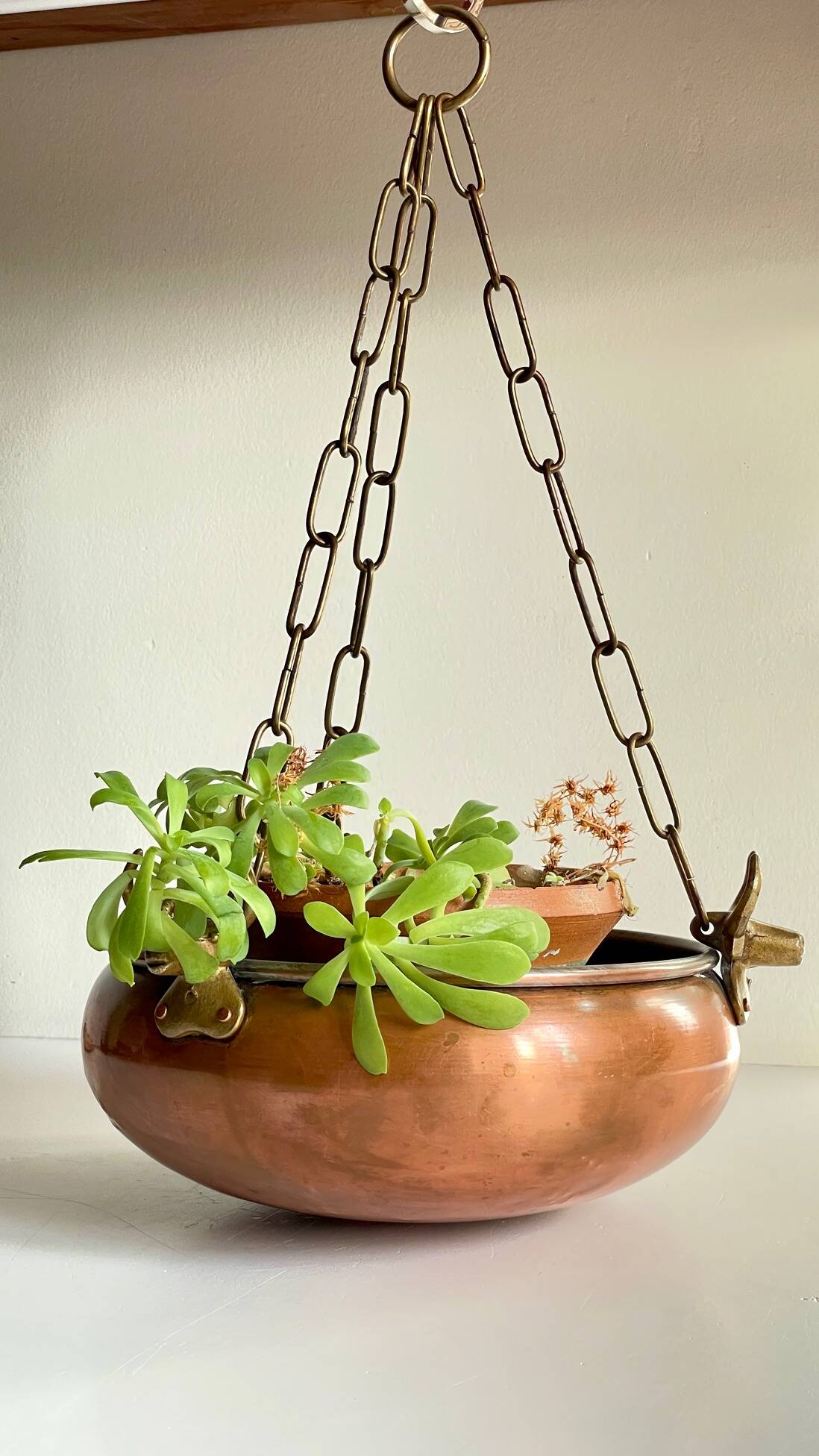 Cache-pot suspendu aux 3 buffles vintage