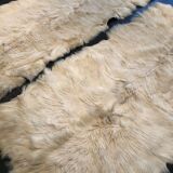 Goat skins