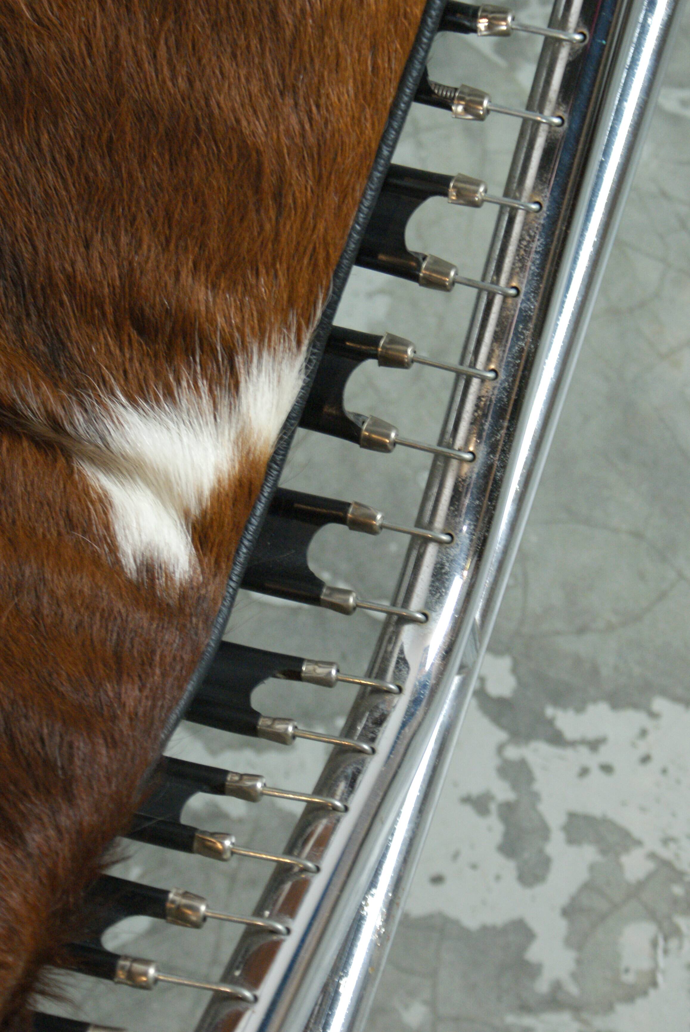 Chaise Longue LC4 by Le Corbusier, Pierre Jeanneret and Charlotte Perriand