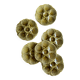 Set of 6 vintage ceramic oyster plates - Sarreguemines -