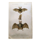 Antique engraving from 1849. Bat by PL Oudart. Hand-colored.