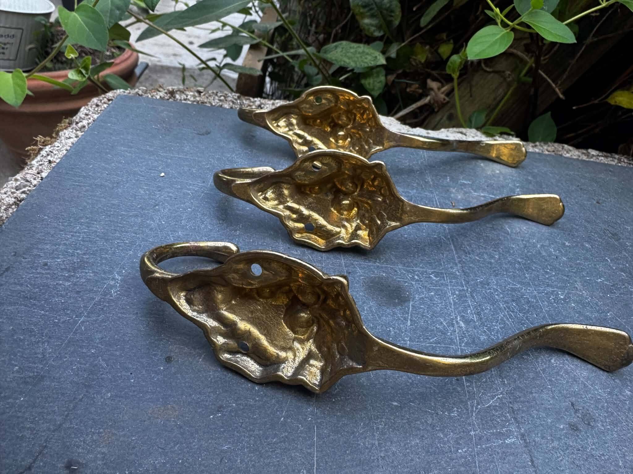 3 lion coat hooks in brass Art Nouveau