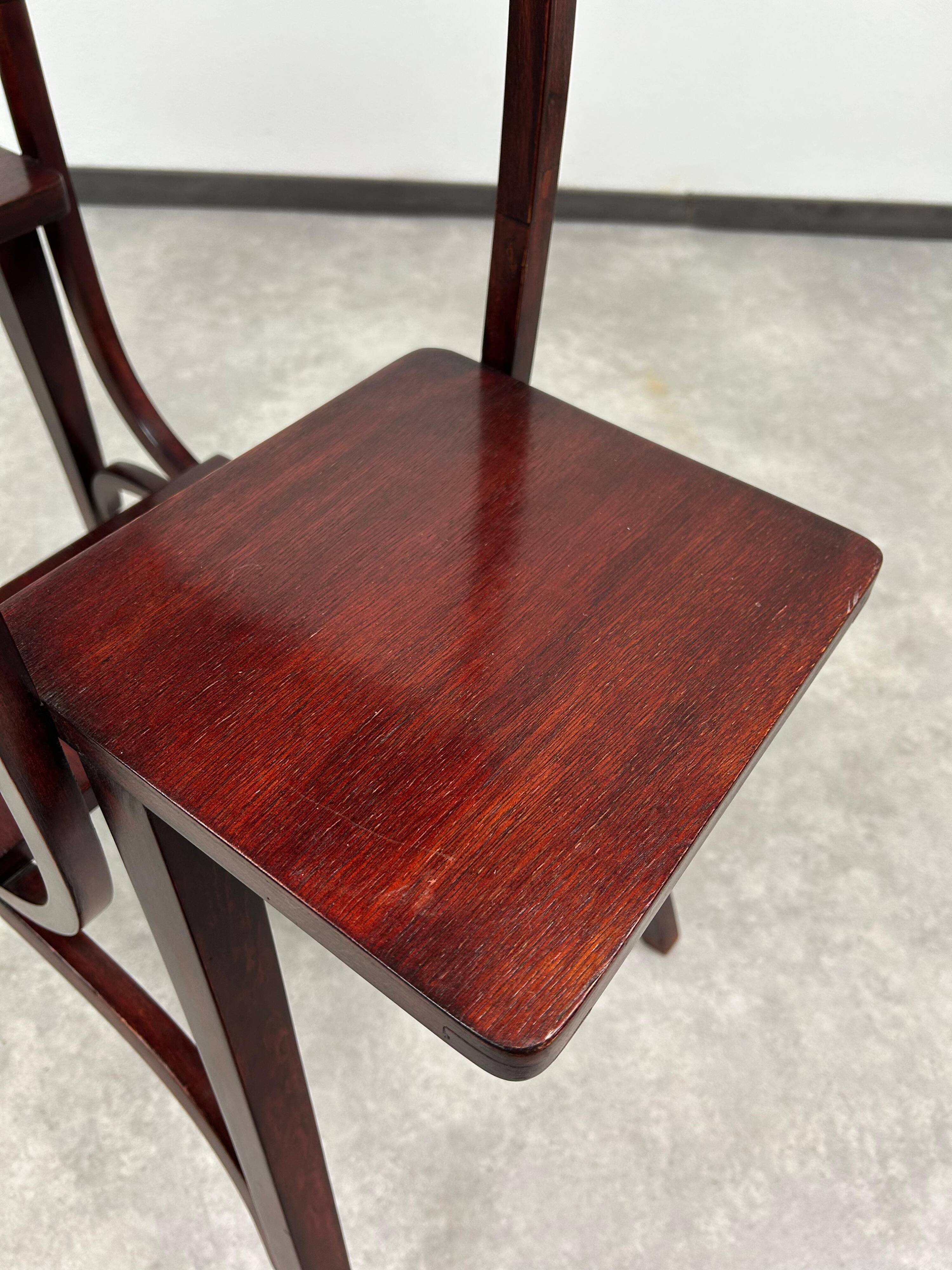 Jugendstil plante stan par Thonet