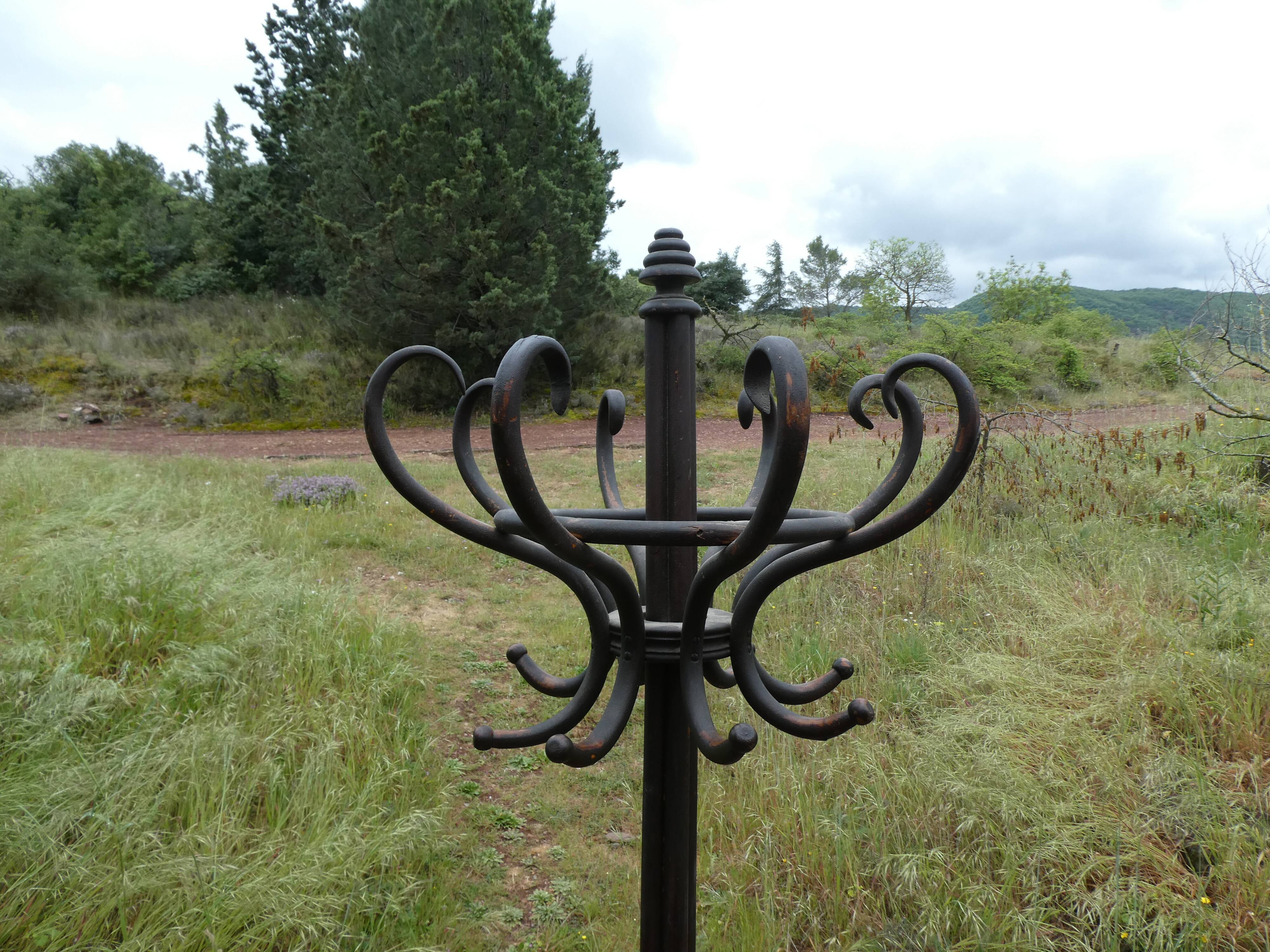 Parrot coat holder in curved wood - Art Nouveau