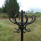Parrot coat holder in curved wood - Art Nouveau