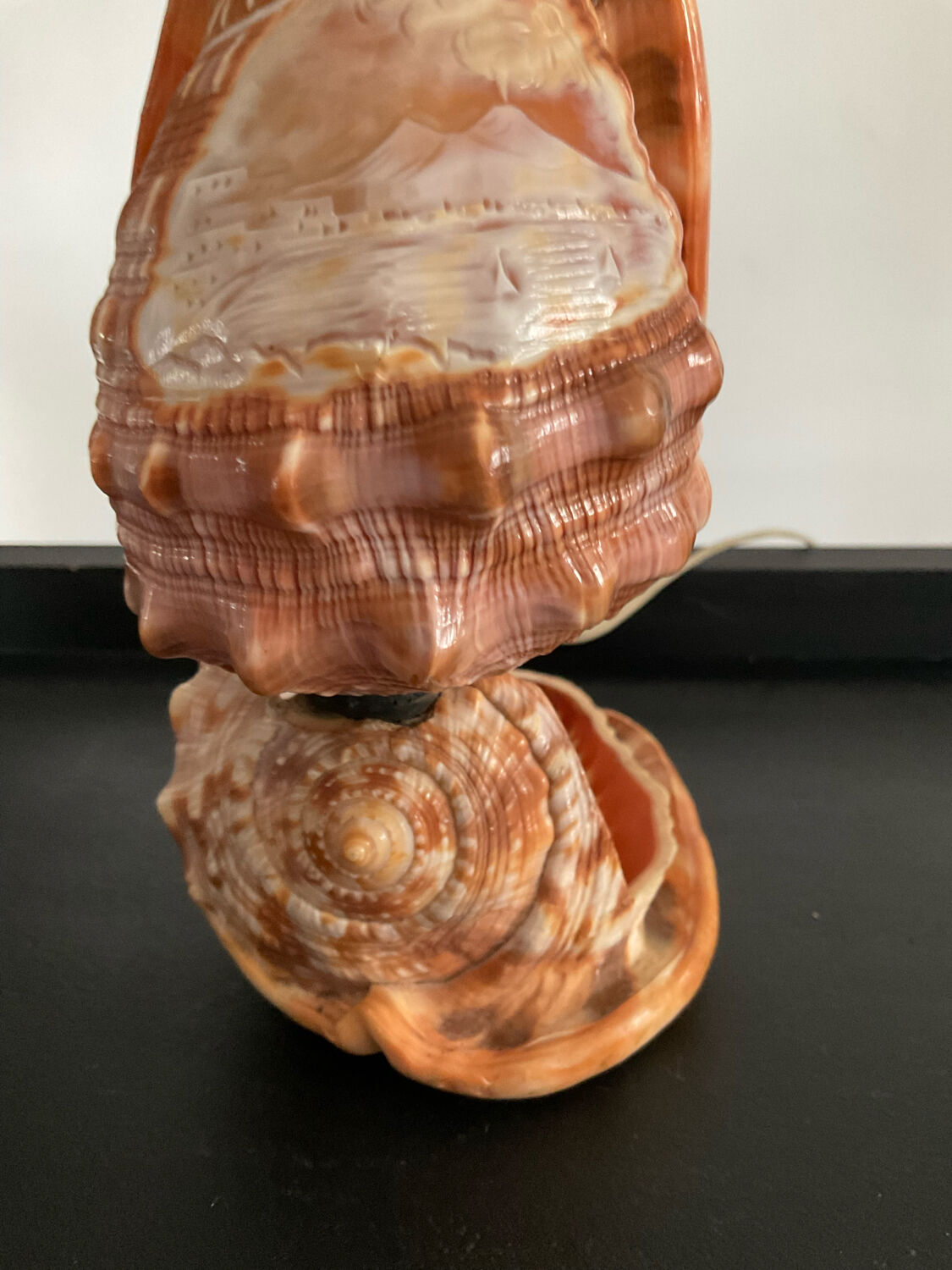 Vintage shell lamp from the 50s-60s