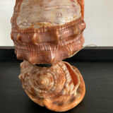 Vintage shell lamp from the 50s-60s