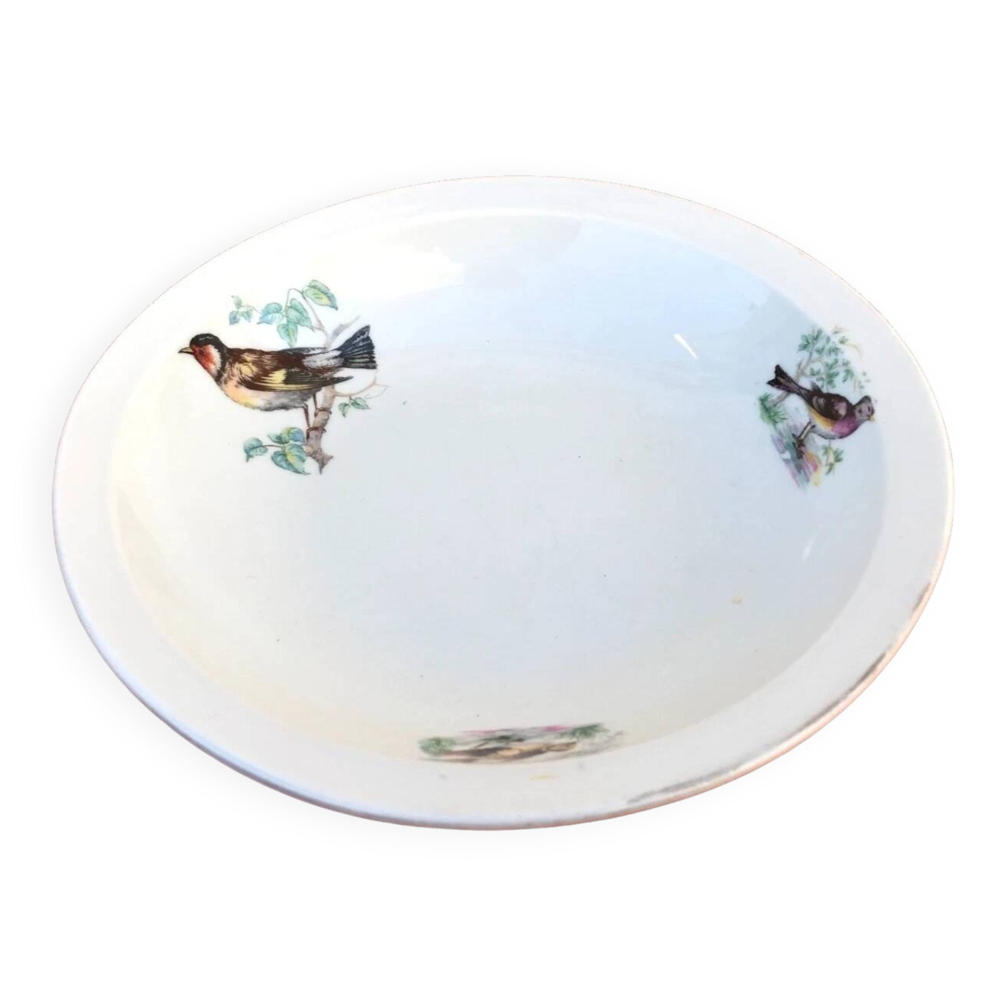 Old dish Decor Beaks and Feathers Pillivuyt France Deposited