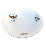 Old dish Decor Beaks and Feathers Pillivuyt France Deposited