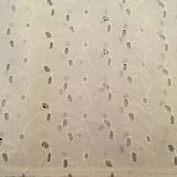 Nappe dentelle vintage