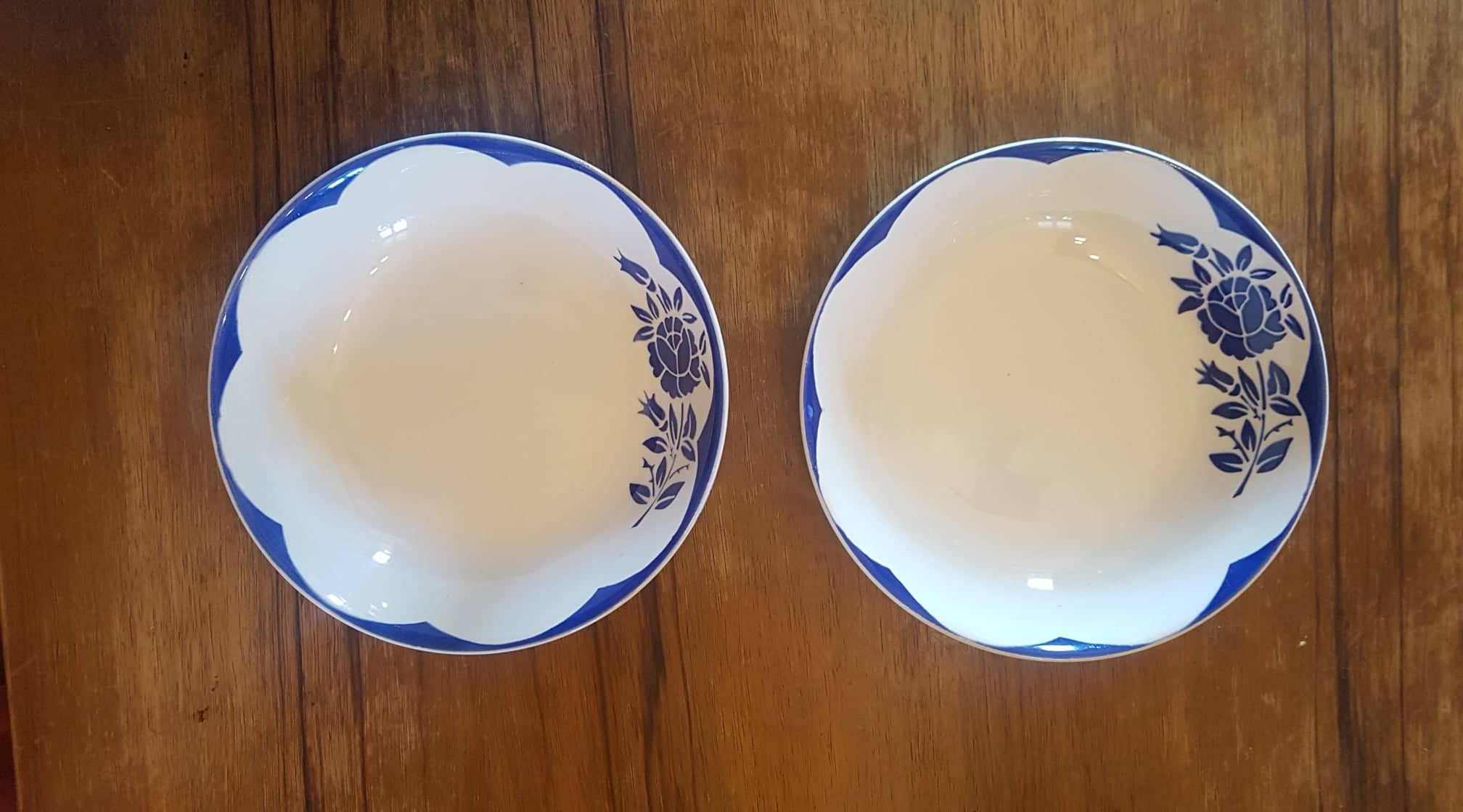 Set of 2 plates digoin sarreguemines model corsica