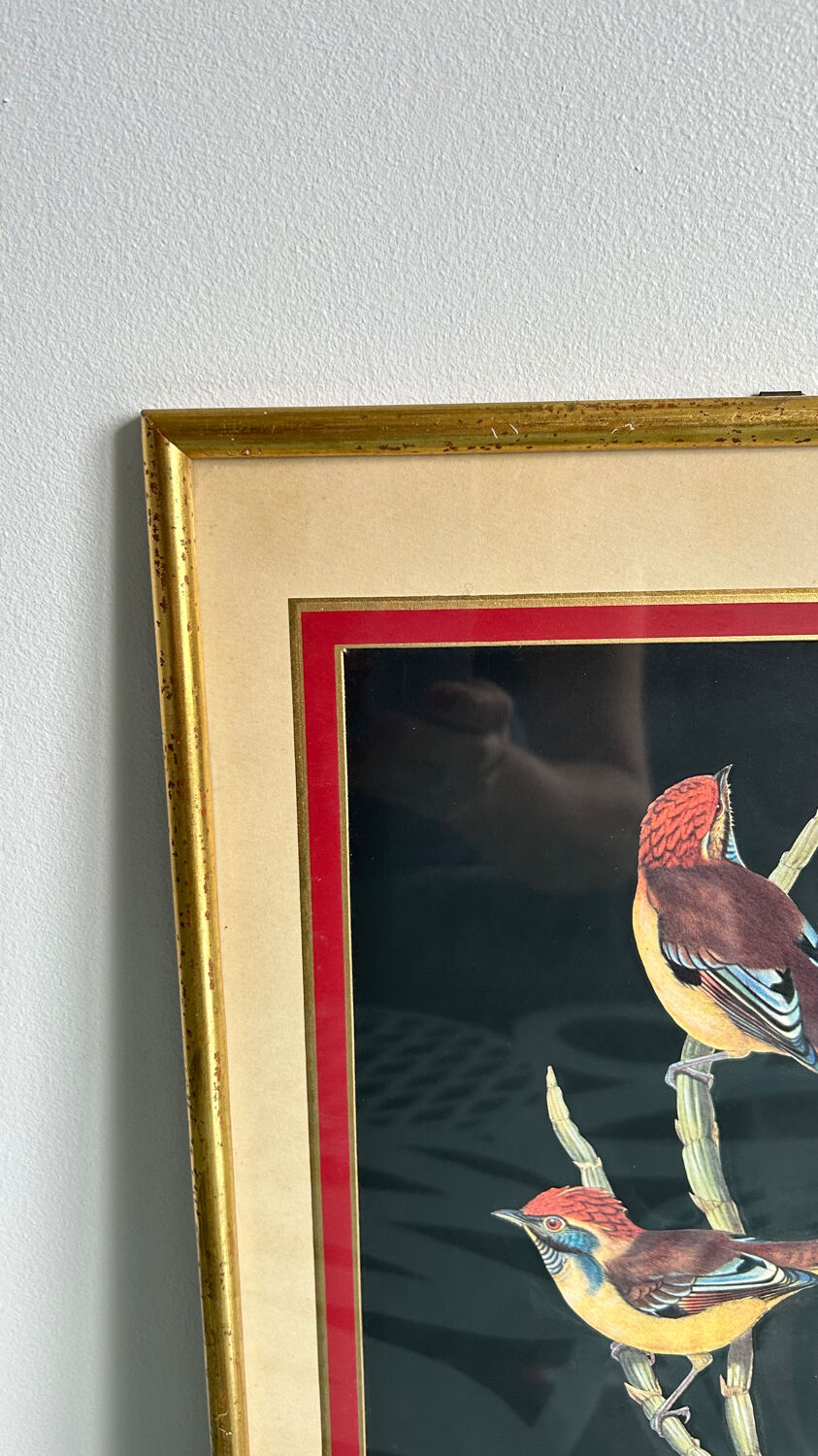 Set of 2 vintage lithographs