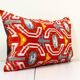Coussin Ikat velours