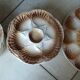 SARREGUEMINE brand polychrome earthenware oyster service