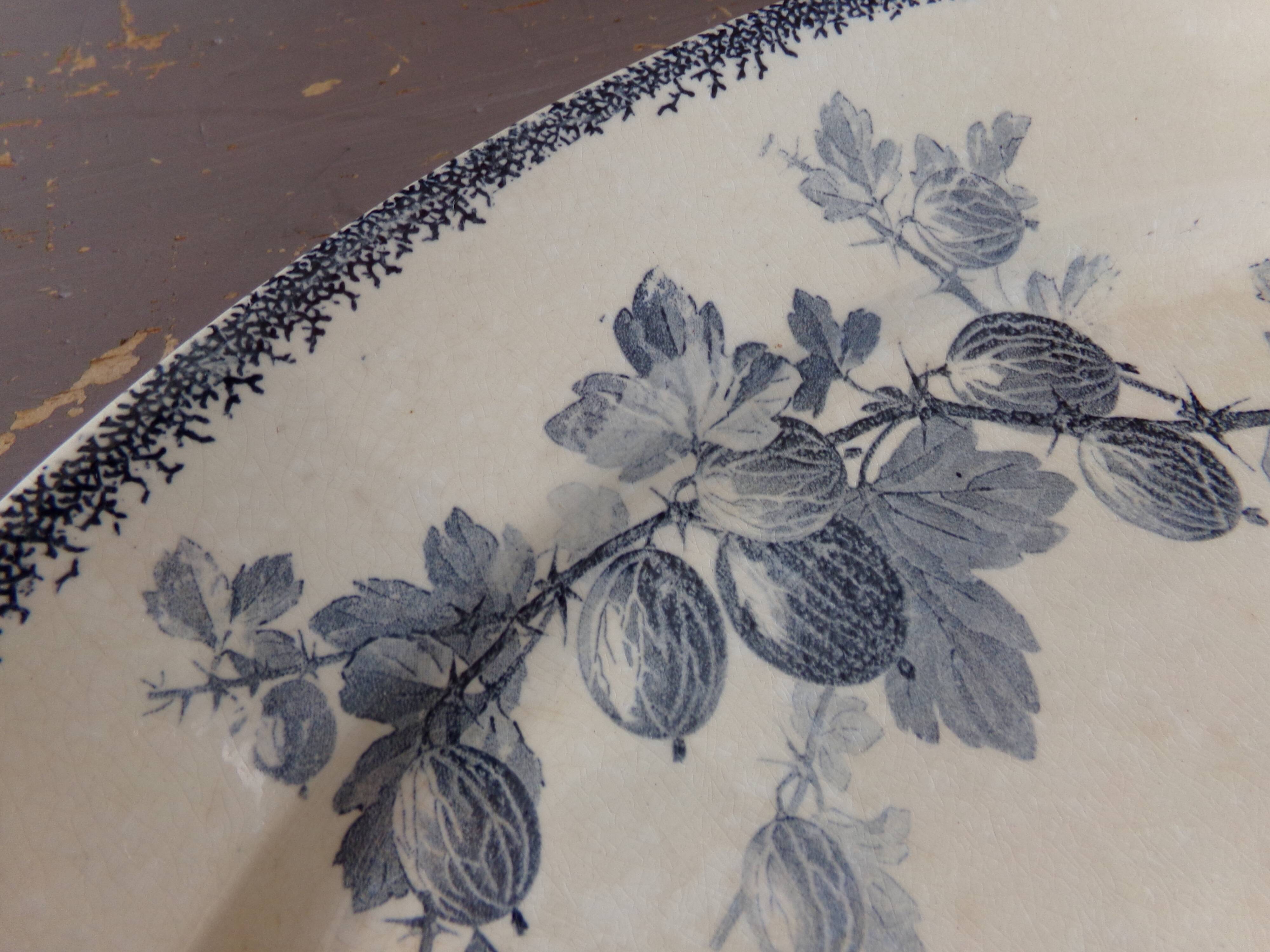 Oval dish U&Cie Sarreguemines model "currants"