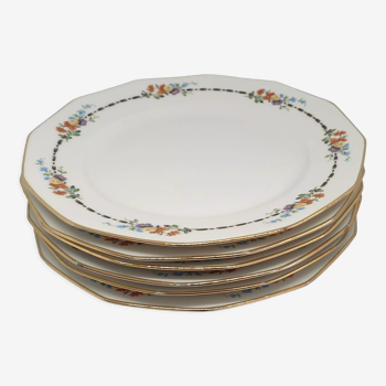 Six assiettes en porcelaine de limoges haviland