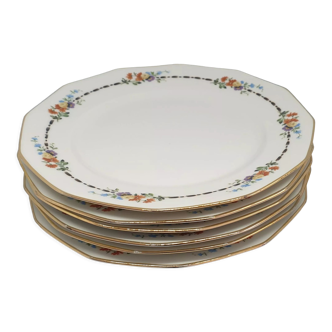 Six assiettes en porcelaine de limoges haviland