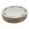 Six porcelain plates from limoges haviland