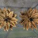 Wall lamps or ceiling lamps in gilded metal sheets Hans Kogl