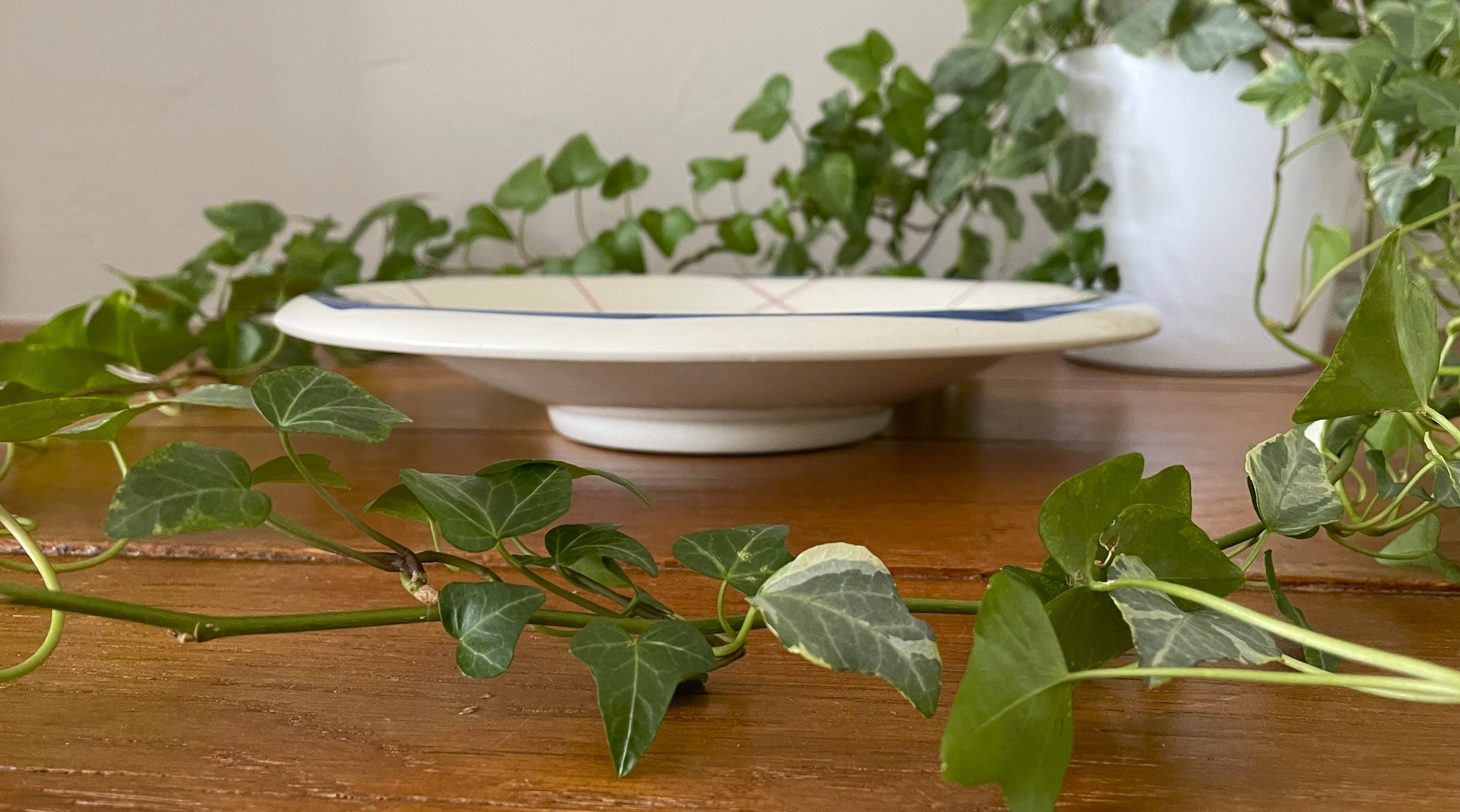 Antique salad bowl / fruit bowl on a pedestal in Gien earthenware
