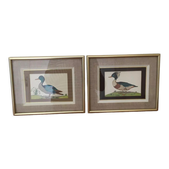 Two framed drawings of ducks signed Dayelle de Terronblan