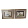 Deux dessins de canards encadrés signés Dayelle de Terronblan