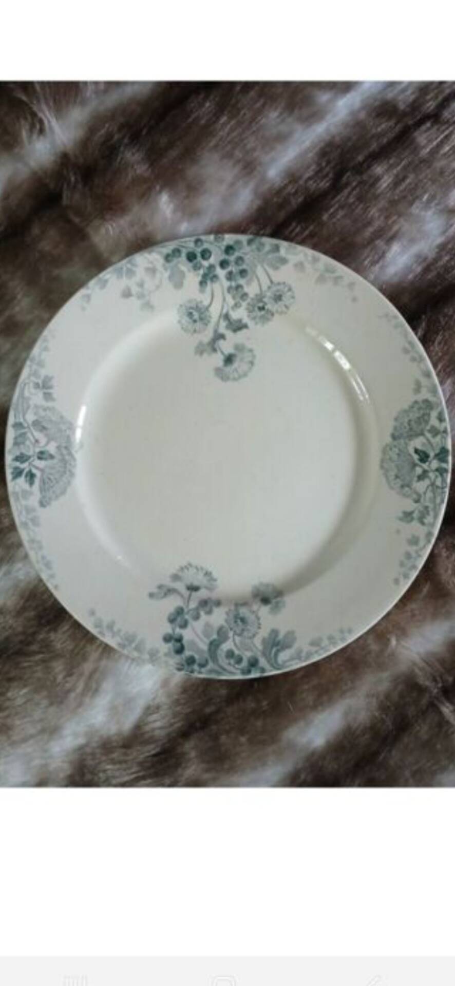 10 antique flat plates in ironstone