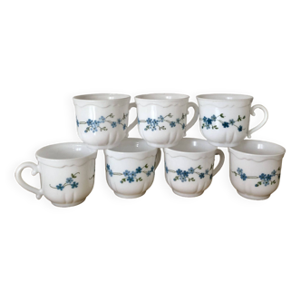 Set of 7 vintage Arcopal veronica myosotis cups