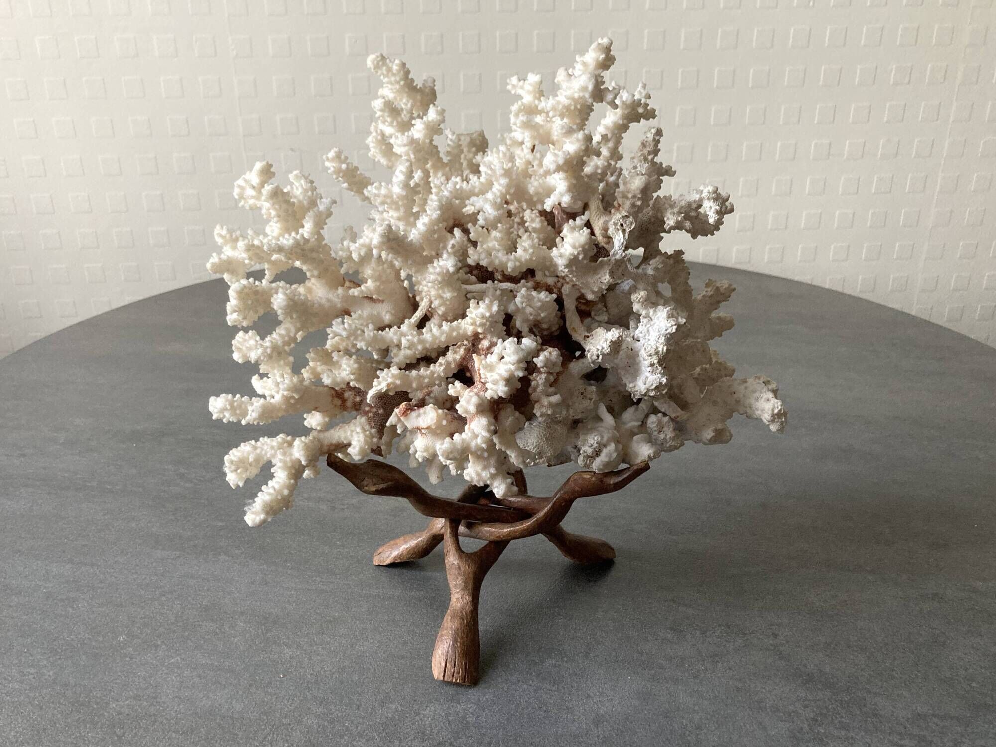 Corail blanc grand modèle 1960 sur bois sculpté