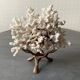 Corail blanc grand modèle 1960 sur bois sculpté