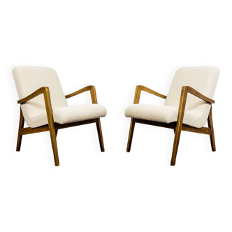 Pair of vintage 300-138 armchairs by Bystrzyckie Fabryki Mebli, 1960s